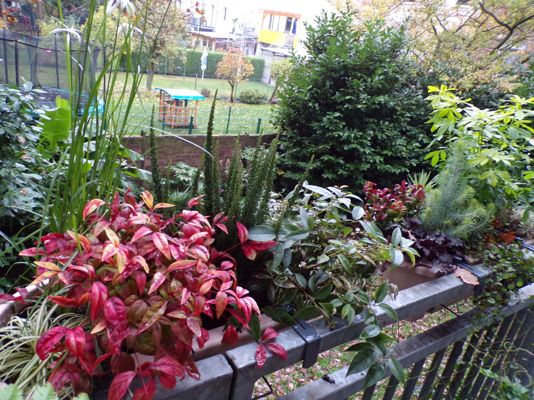 Herbst auf dem Balkon
