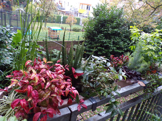 Herbst auf dem Balkon