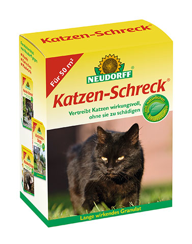 Katzen-Schreck – Love Your Plants